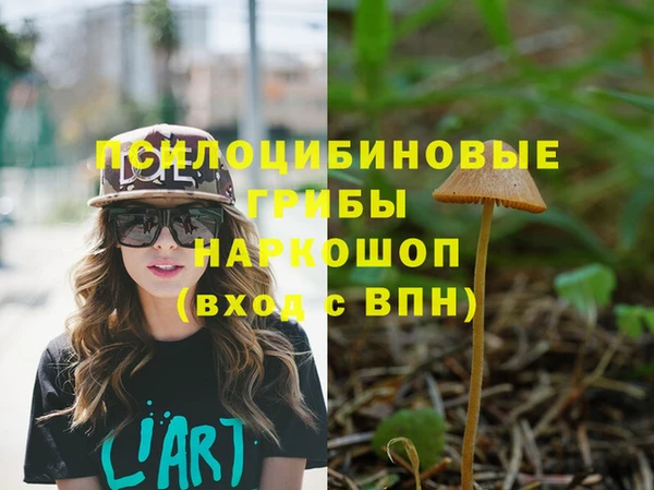 2c-b Алзамай